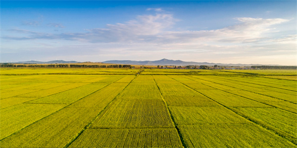 J9集团-国际站官网