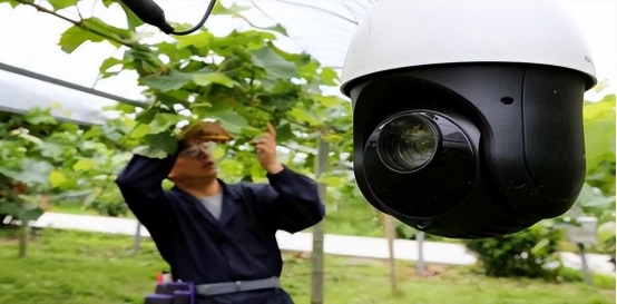 J9¼¯ÍÅ-¹ú¼ÊÕ¾¹ÙÍø