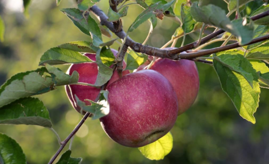 J9����-����վ����