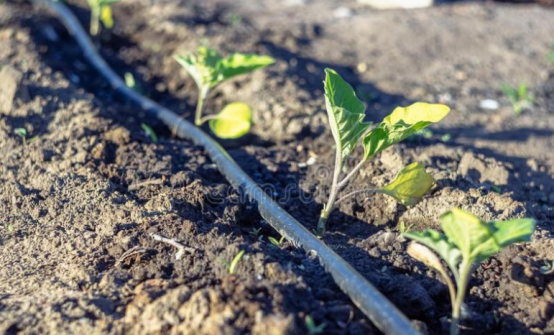 J9����-����վ����