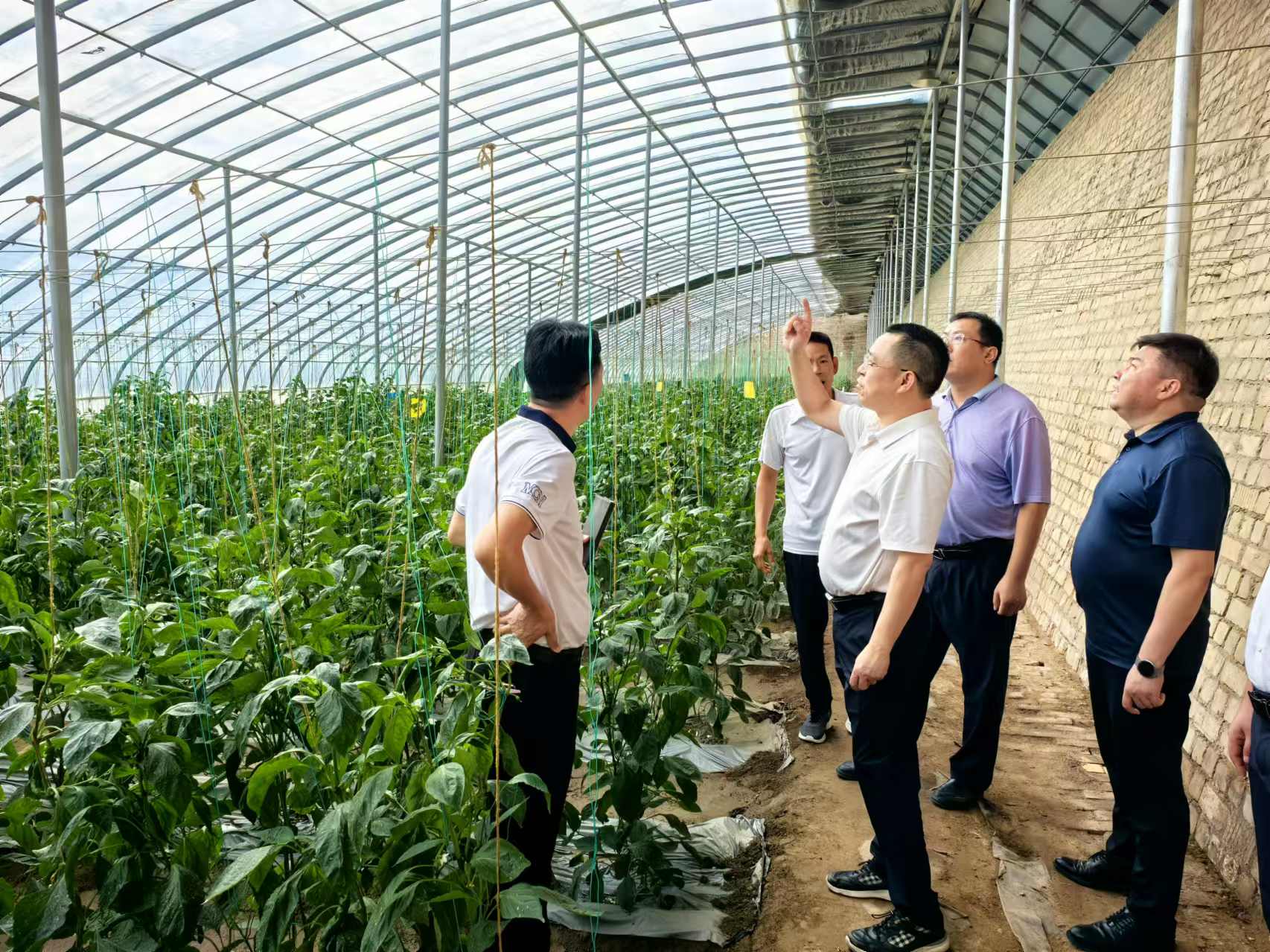 J9����-����վ����