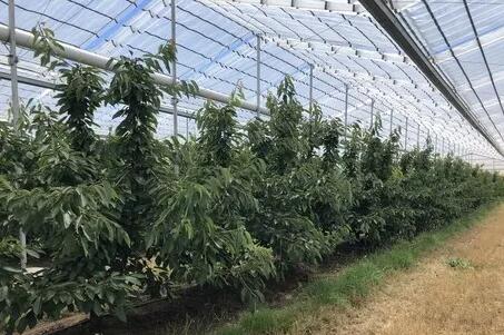 ���弯��ˮ�ѡ�����ˮ��һ�廯�������������������ˮ��Ҫ��