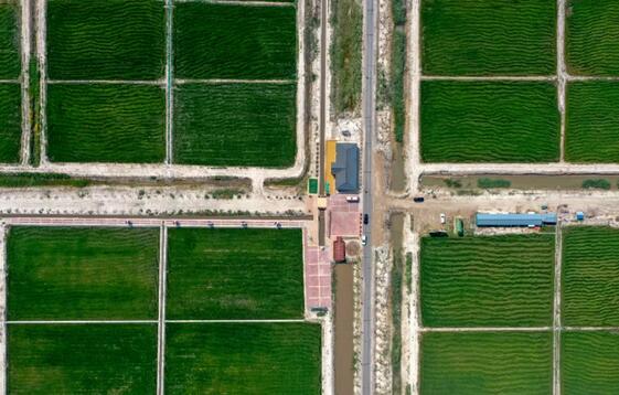 ɽ����չ2021��ʡ���л�����ũҵ������ģ����