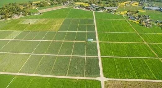 �߱�׼ũ�ｨ�����ϸ��׼��ʲô