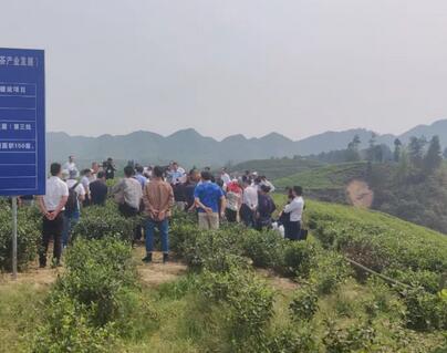 ��Ҷˮ��һ�廯��Ŀ���ý����԰���༰ʩ������