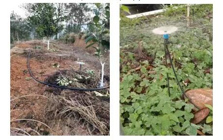 ����ʵ��ˮ��һ�廯����Щ��������