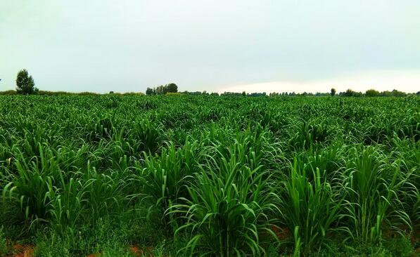 J9����-����վ����