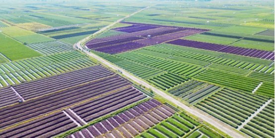 J9����-����վ����