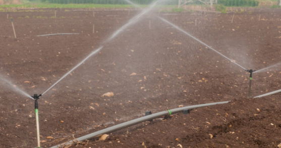 J9����-����վ����