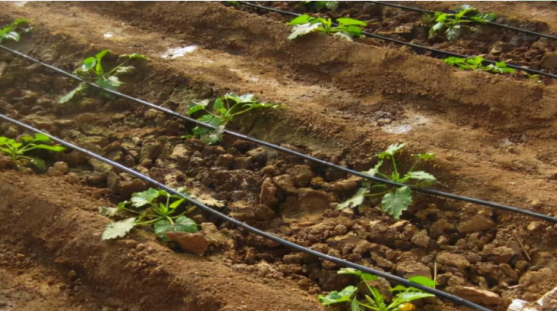 J9����-����վ����