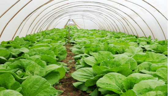 J9����-����վ����