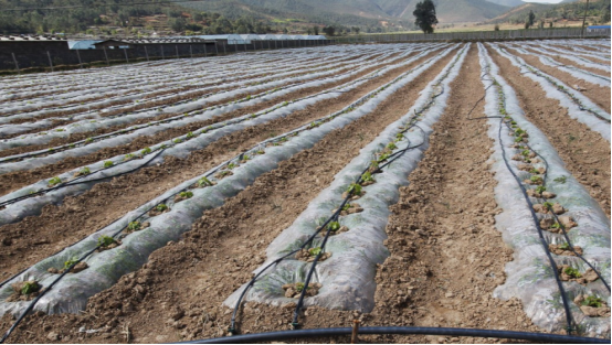 J9����-����վ����