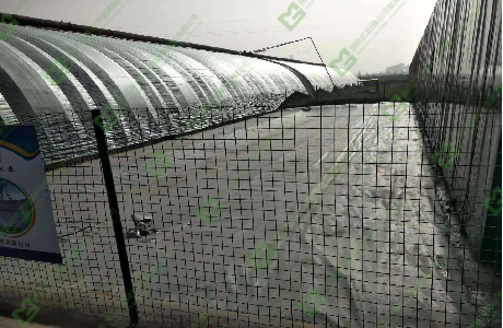 J9¼¯ÍÅ-¹ú¼ÊÕ¾¹ÙÍø