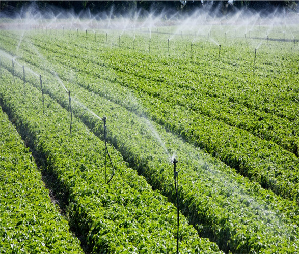 J9����-����վ����