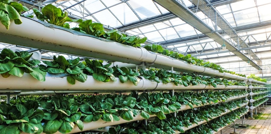 J9����-����վ����