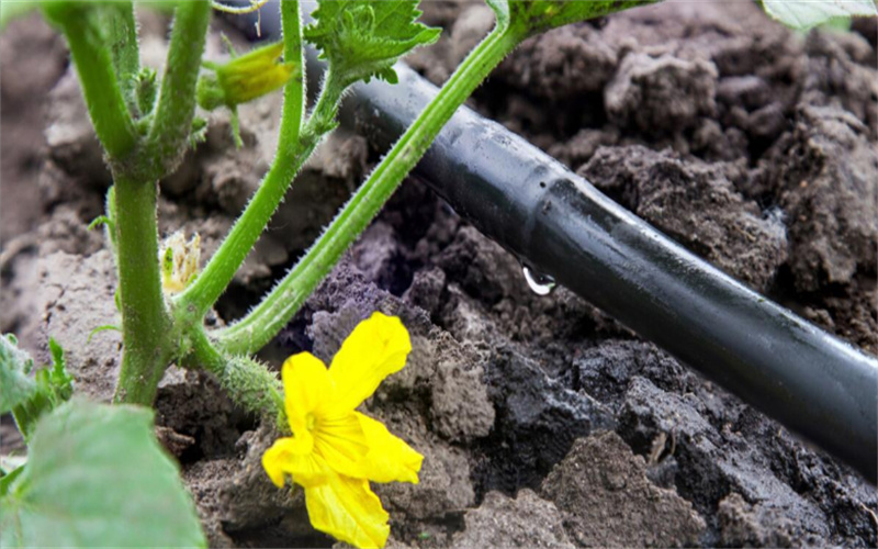 J9����-����վ����