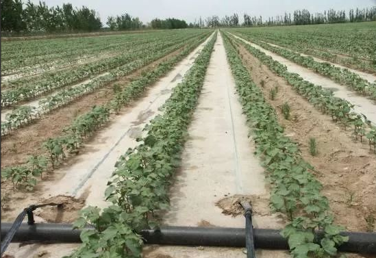 J9����-����վ����