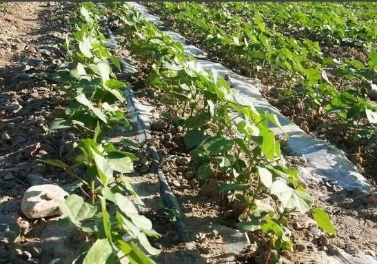 J9����-����վ����