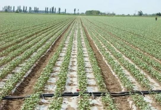 J9����-����վ����