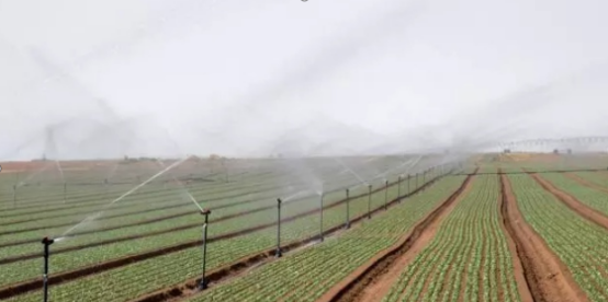 J9����-����վ����