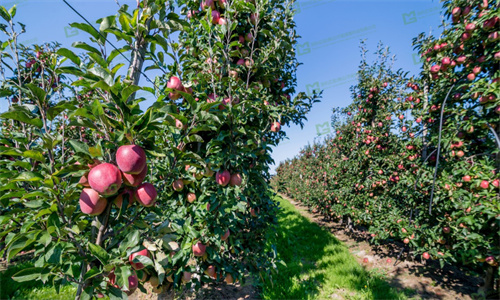 J9����-����վ����