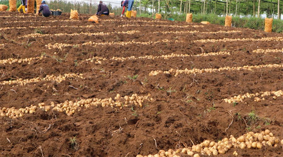 J9����-����վ����