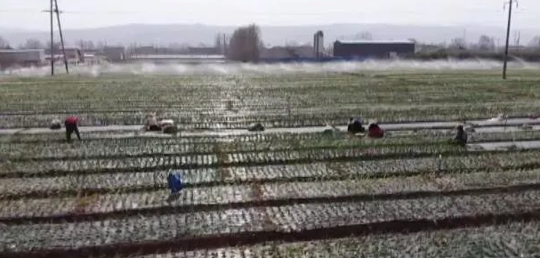 J9¼¯ÍÅ-¹ú¼ÊÕ¾¹ÙÍø