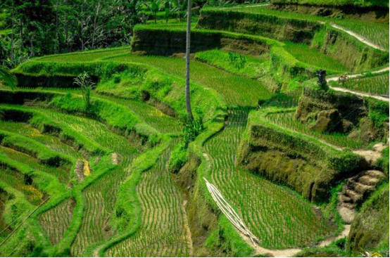 J9����-����վ����