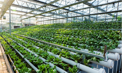 J9¼¯ÍÅ-¹ú¼ÊÕ¾¹ÙÍø