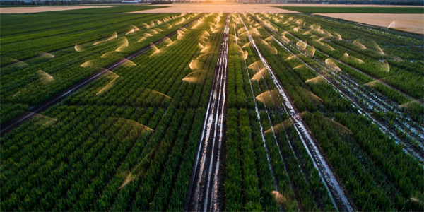 J9����-����վ����