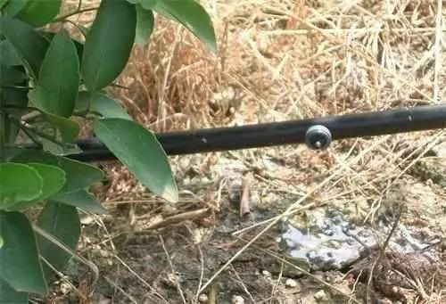 J9����-����վ����