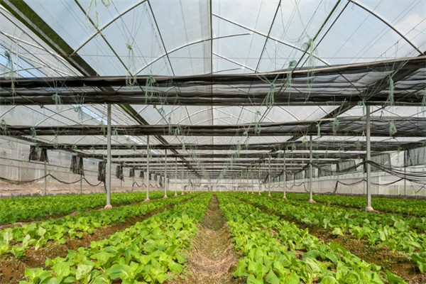 J9����-����վ����