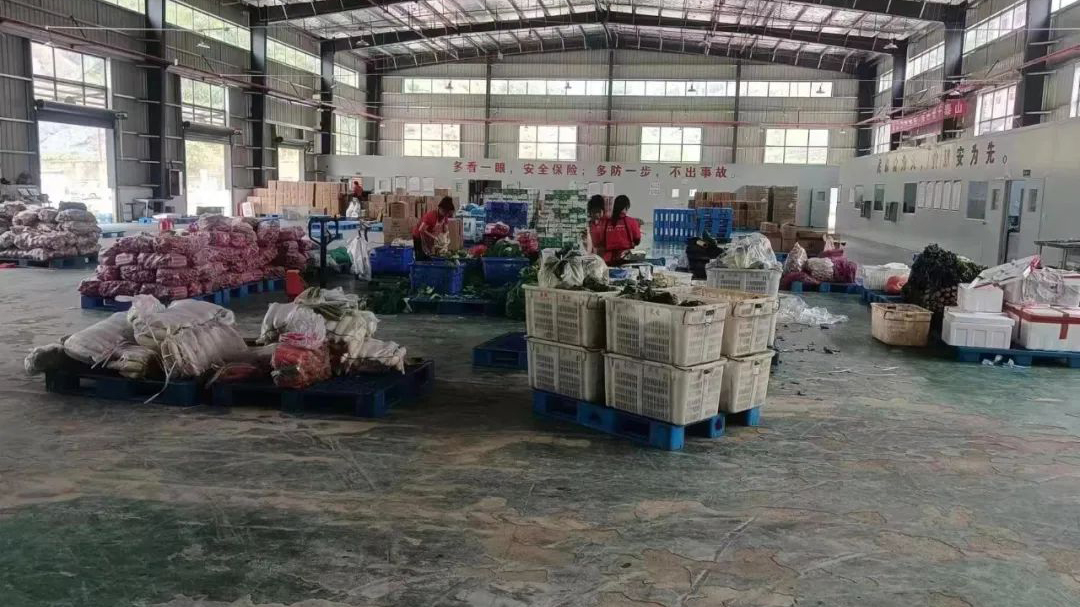 J9����-����վ����