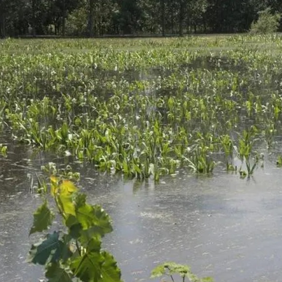 J9����-����վ����