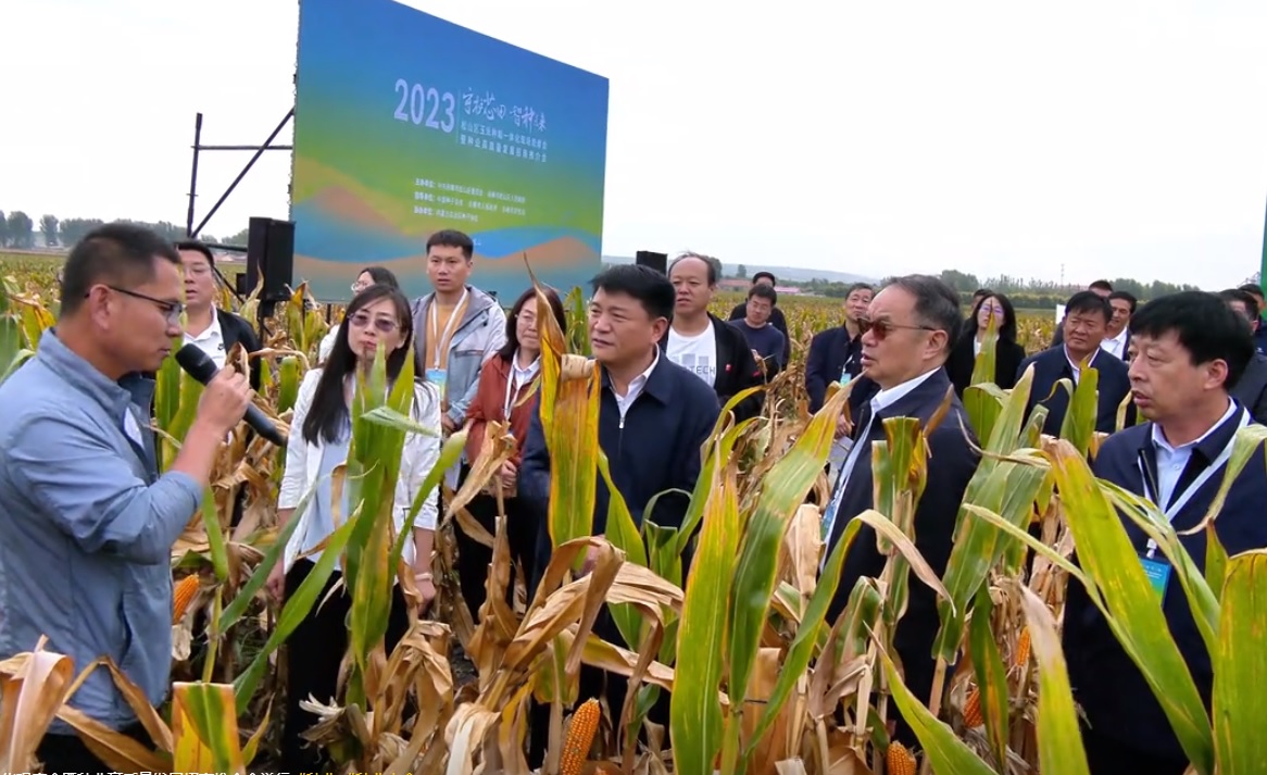 J9����-����վ����