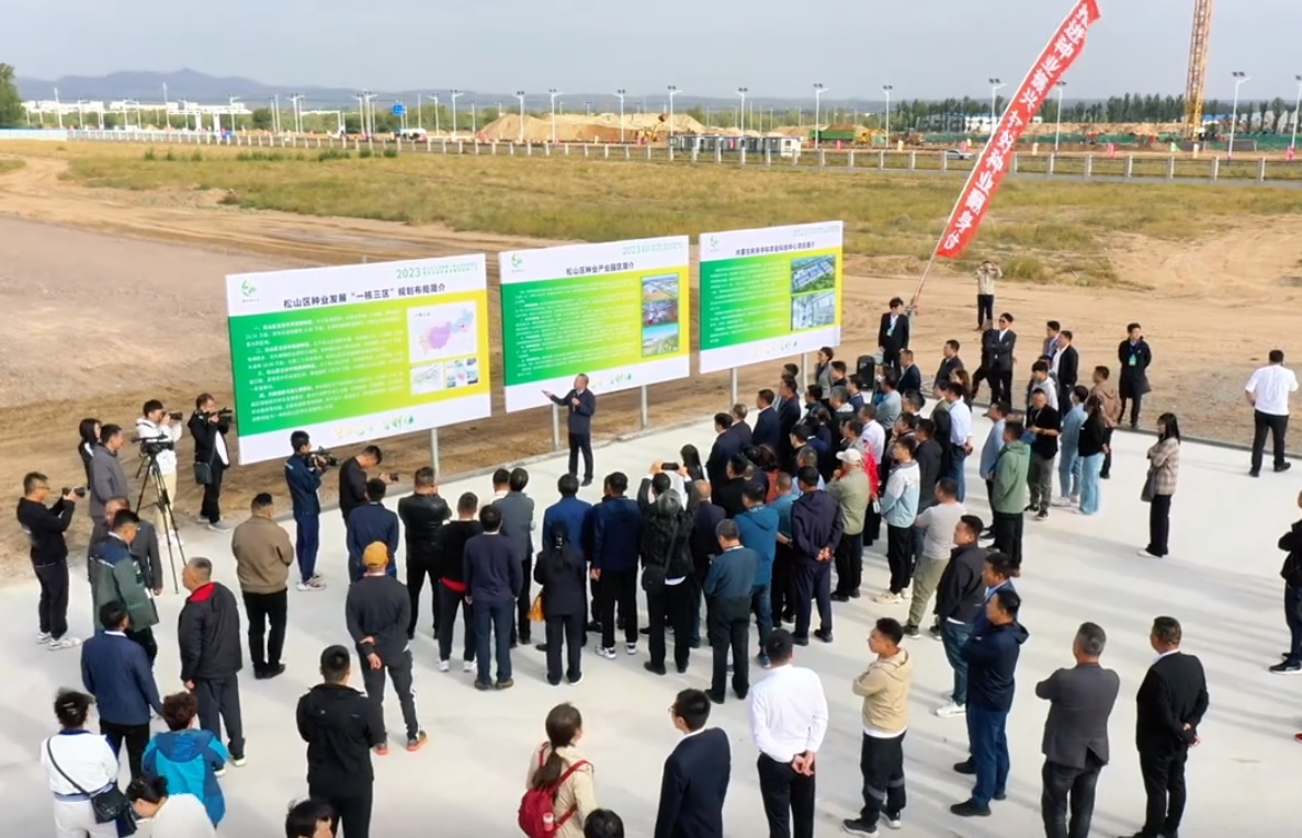 J9����-����վ����