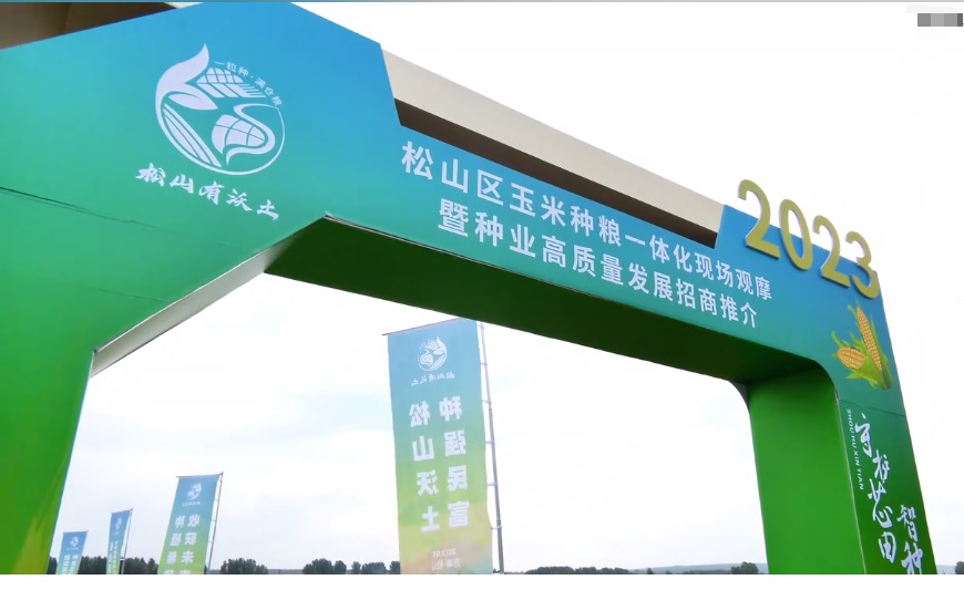 J9����-����վ����