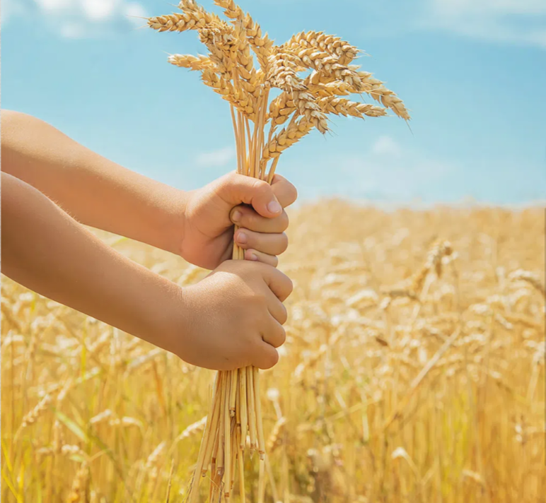 J9����-����վ����