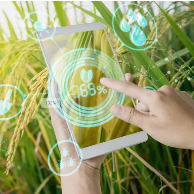 J9����-����վ����