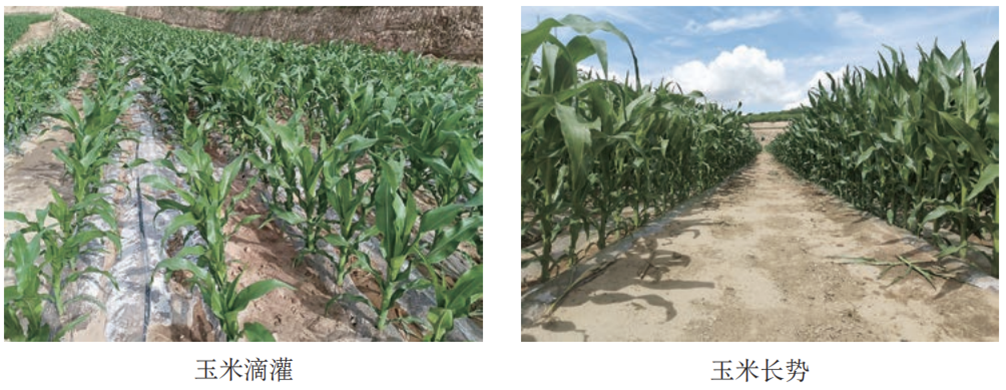 J9����-����վ����