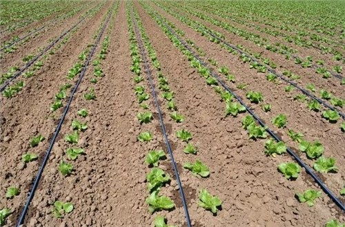 J9����-����վ����